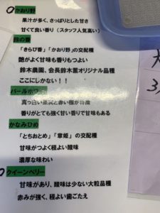 掛川いちご狩り【鈴木農園】