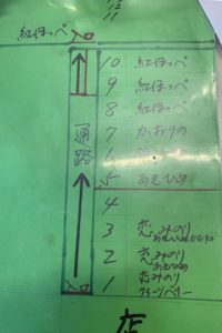掛川いちご狩り【鈴木農園】
