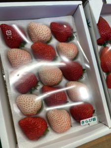 掛川いちご狩り【鈴木農園】