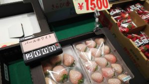 掛川いちご狩り【鈴木農園】
