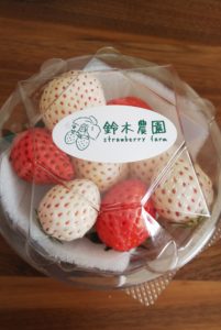 掛川いちご狩り【鈴木農園】