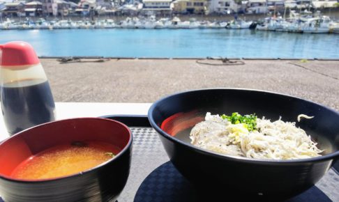 生しらす,静岡県,富士市 漁協食堂