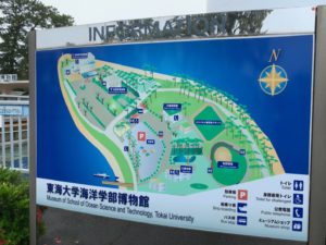 【静岡 観光】東海大学海洋科学博物館 水族館