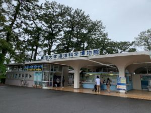【静岡 観光】東海大学海洋科学博物館 水族館