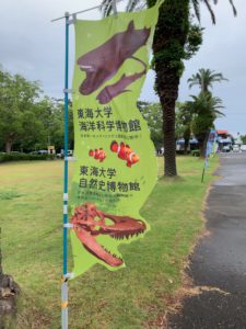 【静岡 観光】東海大学海洋科学博物館 水族館