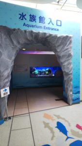 【静岡 観光】東海大学海洋科学博物館 水族館