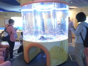 【静岡 観光】東海大学海洋科学博物館 水族館