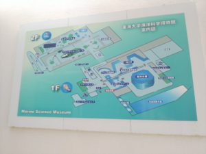 【静岡 観光】東海大学海洋科学博物館 水族館