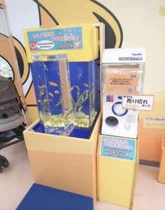 【静岡 観光】東海大学海洋科学博物館 水族館