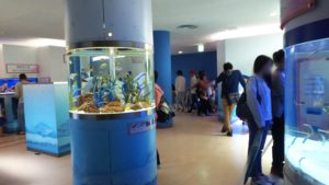 【静岡 観光】東海大学海洋科学博物館 水族館