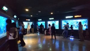 【静岡 観光】東海大学海洋科学博物館 水族館