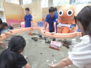 【静岡 観光】東海大学海洋科学博物館 水族館