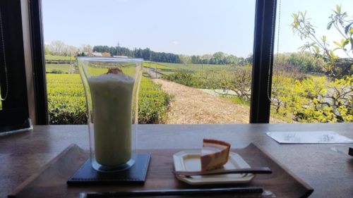 富士市 佐野製茶 ダヤンテールblog