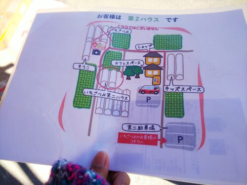 富士宮市 いちご れっどぱーる ダヤンテールblog