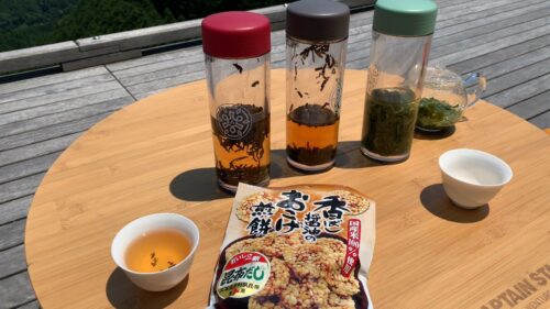 静岡県 天空の茶の間【豊好園】ダヤンテールblo
