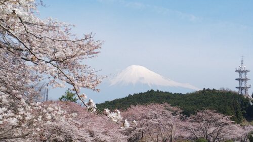 【富士山観光交流ビューロー】ダヤンテールblog