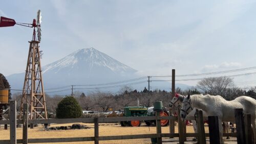 富士宮市【まかいの牧場】デイグランピング　ダヤンテールblog