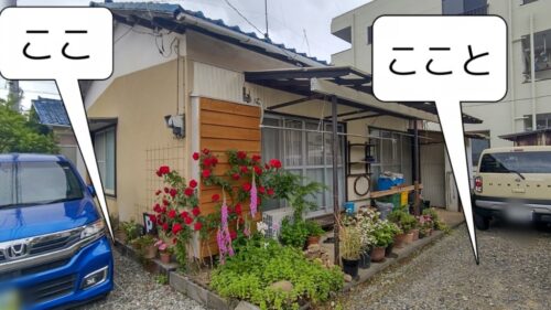駿東郡【Cafeしずく】ダヤンテールblog