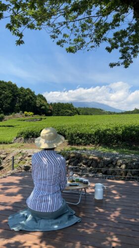 富士市大淵笹場『富士山の茶の間』ダヤンテールblog