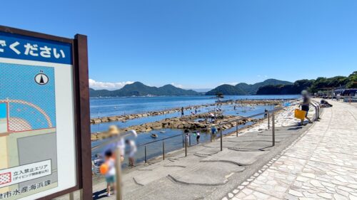 沼津市　海水浴【らららサンビーチ】ダヤンテールblog