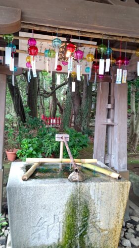 富士市　富知六所浅間神社 　ダヤンテールblog