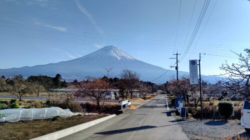 富士宮市【らいすぼうる】ダヤンテールblog