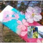 富士宮市【ふじのふもとの姫beauty】ダヤンテールblog
