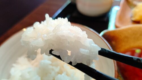富士市【天婦羅と和風料理 Dining COMECOME】ダヤンテールblog