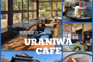富士市【URANIWA CAFE】ダヤンテールblog