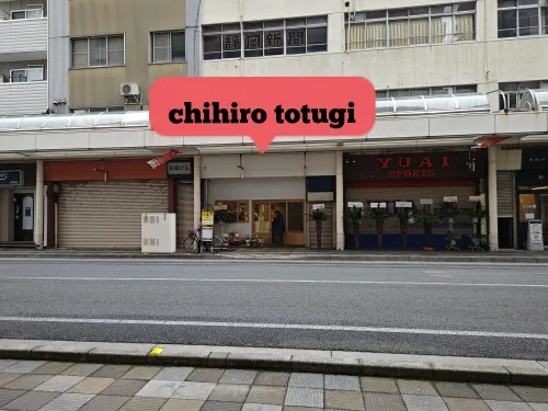 富士市【chihiro totugi】ダヤンテールblog