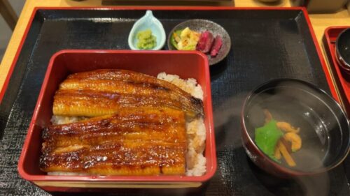伊豆修善寺の新しい名物!?【山葵うなぎ辻むら】で頂く、うな重情報!ダヤンテールblog