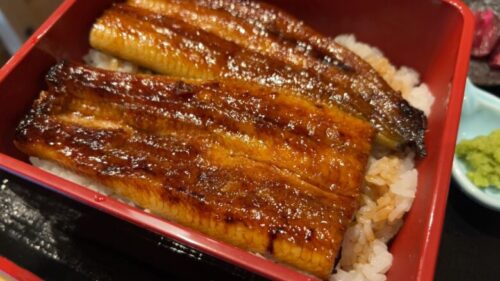 伊豆修善寺の新しい名物!?【山葵うなぎ辻むら】で頂く、うな重情報!ダヤンテールblog