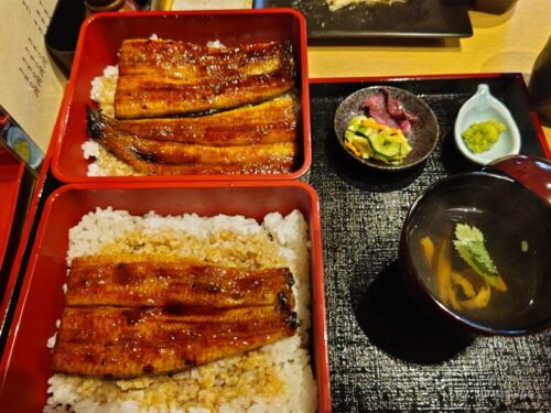 伊豆修善寺の新しい名物!?【山葵うなぎ辻むら】で頂く、うな重情報!ダヤンテールblog