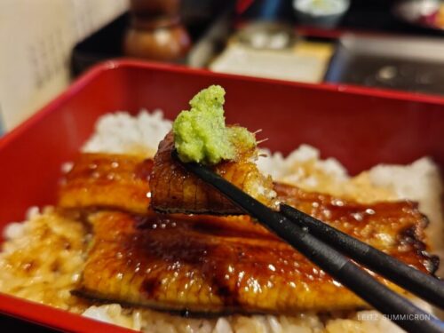 伊豆修善寺の新しい名物!?【山葵うなぎ辻むら】で頂く、うな重情報!ダヤンテールblog