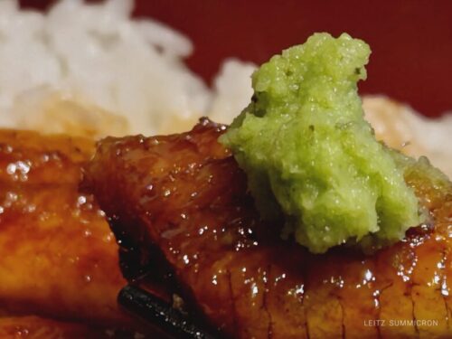 伊豆修善寺の新しい名物!?【山葵うなぎ辻むら】で頂く、うな重情報!ダヤンテールblog