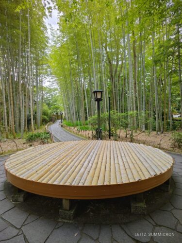 伊豆修善寺の新しい名物!?【山葵うなぎ辻むら】で頂く、うな重情報!ダヤンテールblog