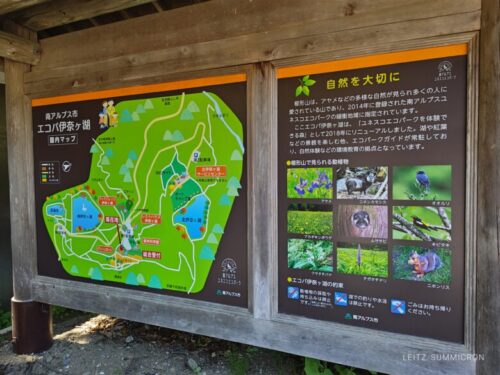 山梨県【レストハウス伊奈ヶ湖】森の中の小さなカフェレストランで手作りケーキ!白鳥がいる綺麗な湖散策も!ダヤンテールblog