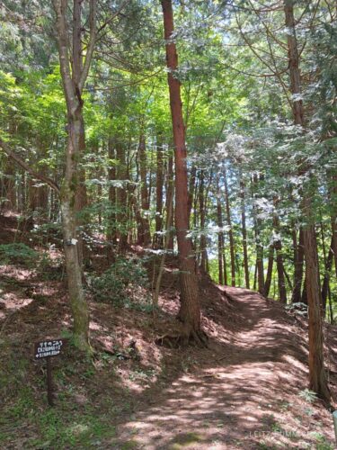 山梨県【レストハウス伊奈ヶ湖】森の中の小さなカフェレストランで手作りケーキ!白鳥がいる綺麗な湖散策も!ダヤンテールblog