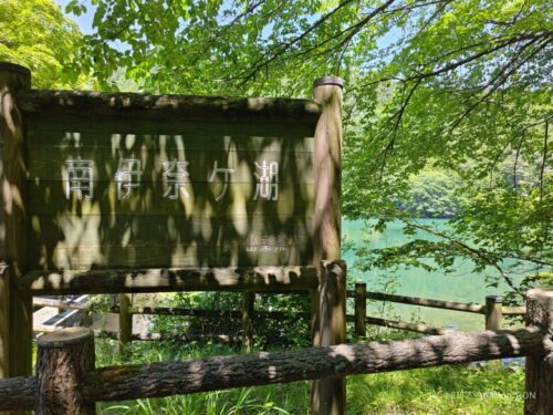 山梨県【レストハウス伊奈ヶ湖】森の中の小さなカフェレストランで手作りケーキ!白鳥がいる綺麗な湖散策も!ダヤンテールblog