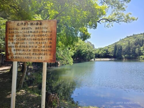 山梨県【レストハウス伊奈ヶ湖】森の中の小さなカフェレストランで手作りケーキ!白鳥がいる綺麗な湖散策も!ダヤンテールblog
